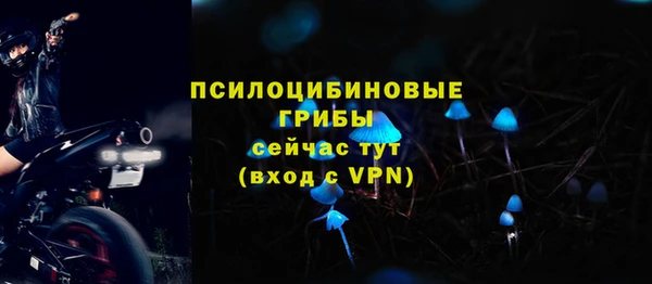 МДПВ Алексин