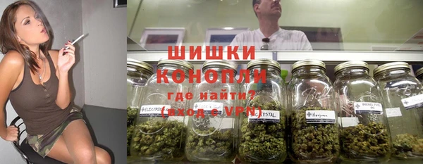 винт Алзамай