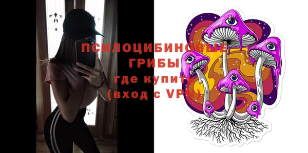 винт Алзамай